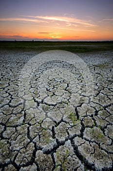 Dry cracked desert. The global shortage of water on the planet.Â  Global warming and greenhouseÂ  effect concept.